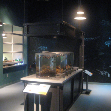 07-CSC Eco-Kelp-Exhibits