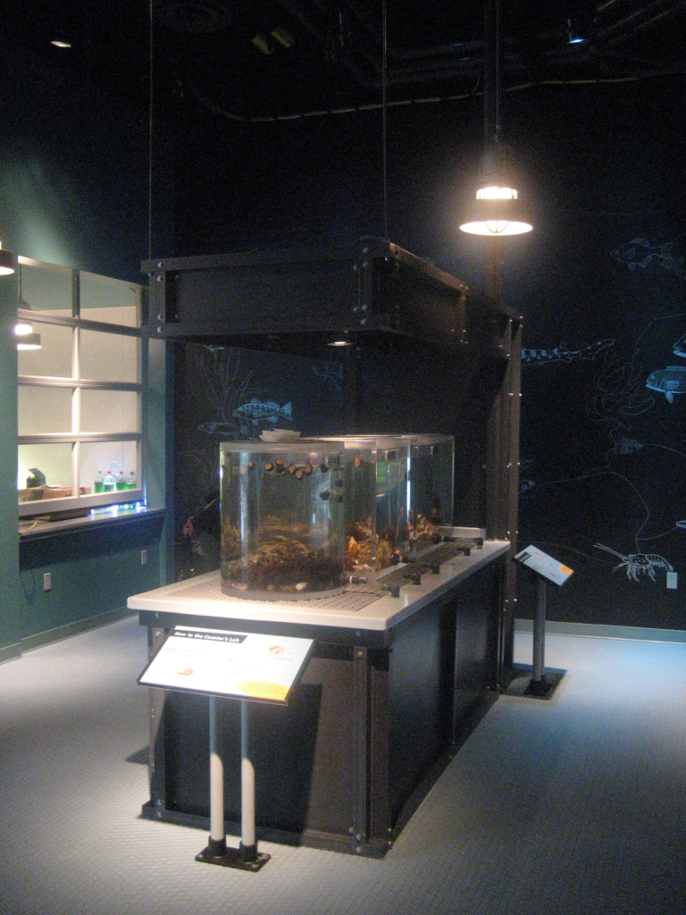 07-CSC Eco-Kelp-Exhibits